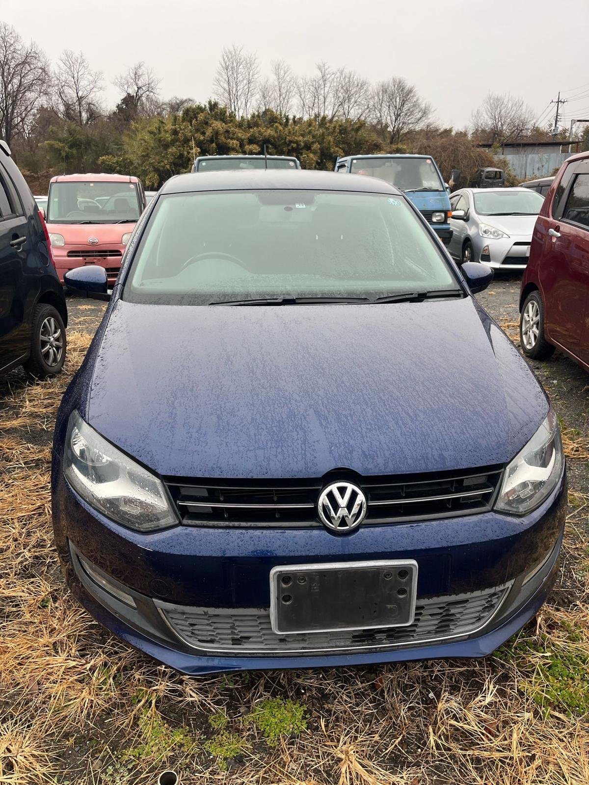 
								Volkswagen full									